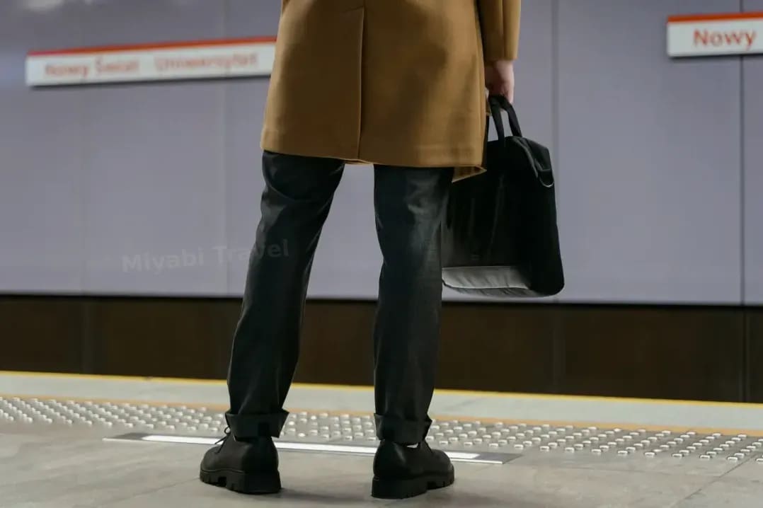 Miyabi Travel 9